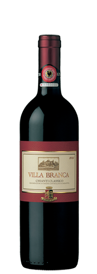 VILLA BRANCA 14 CHIANT