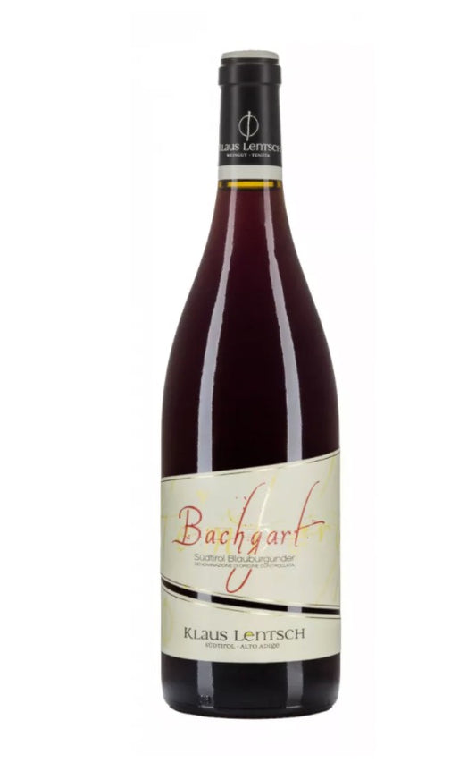 K LENTSCH 16 BACHGART